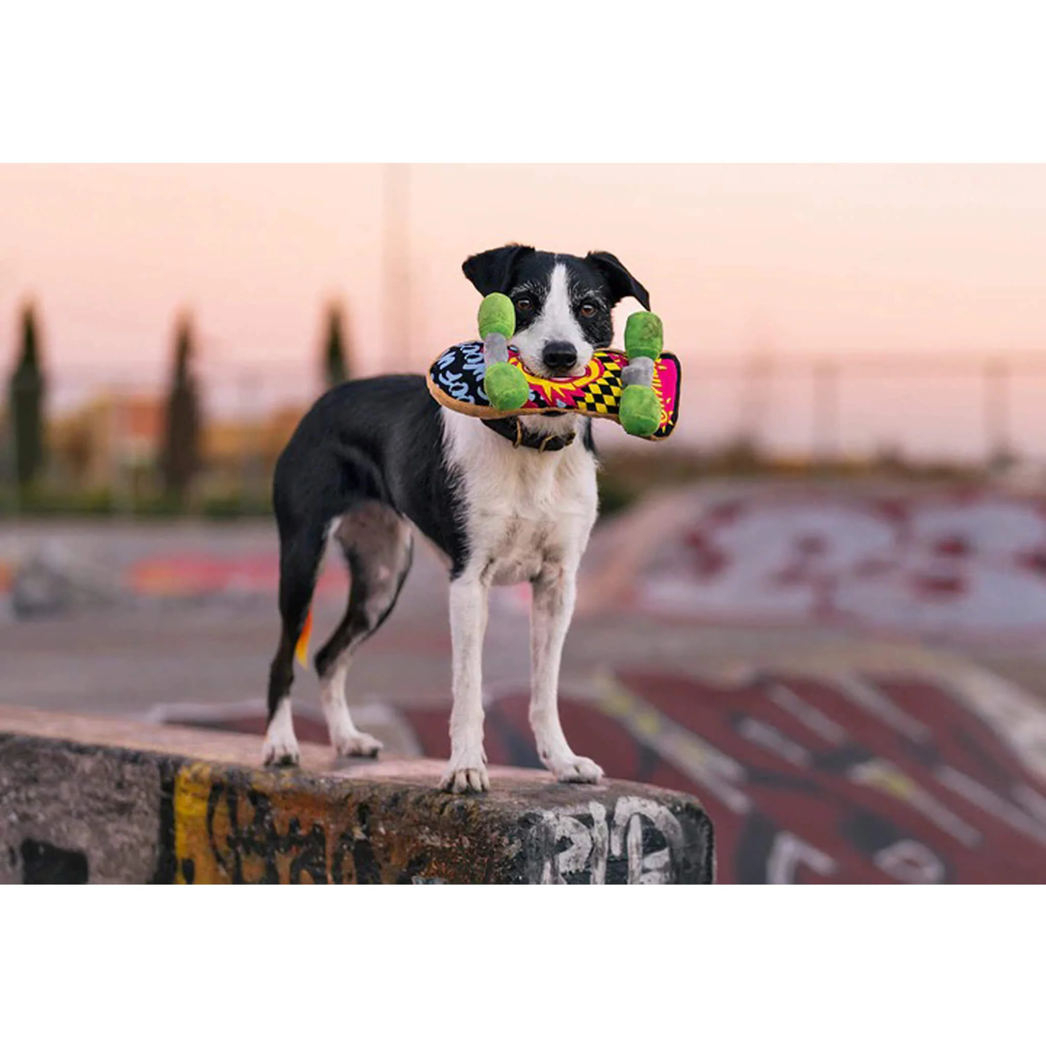 Thumbnail 16